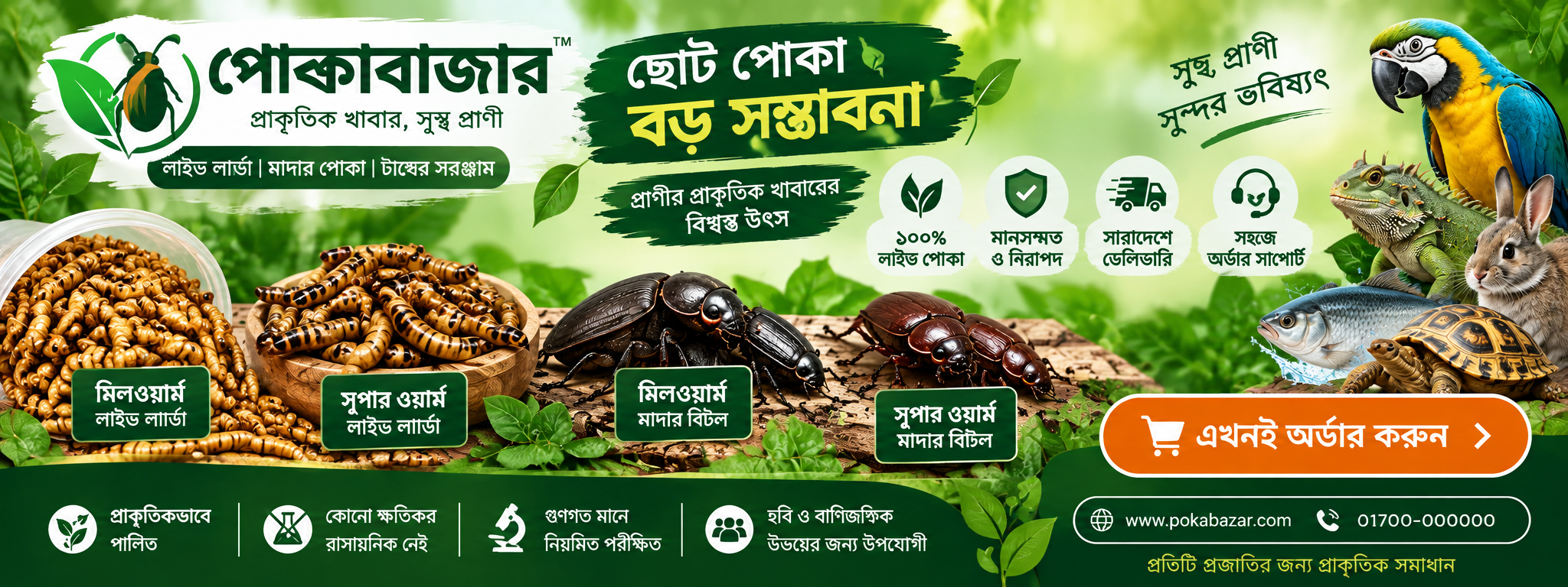 বিটল পোকা
