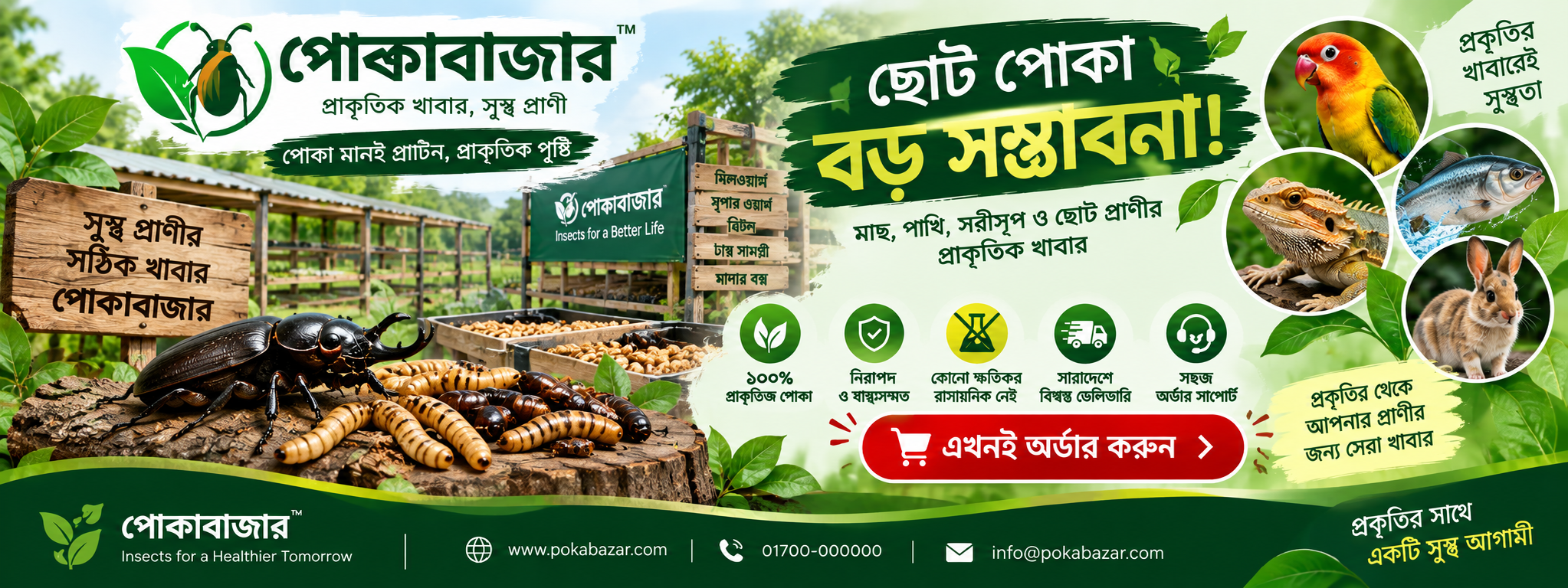 বিটল পোকা