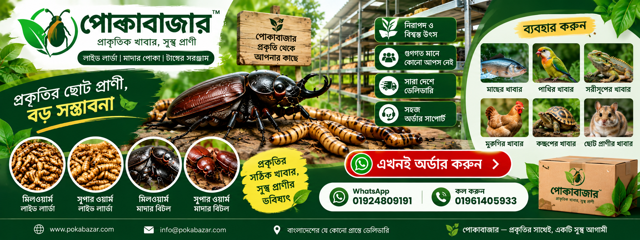 বিটল পোকা